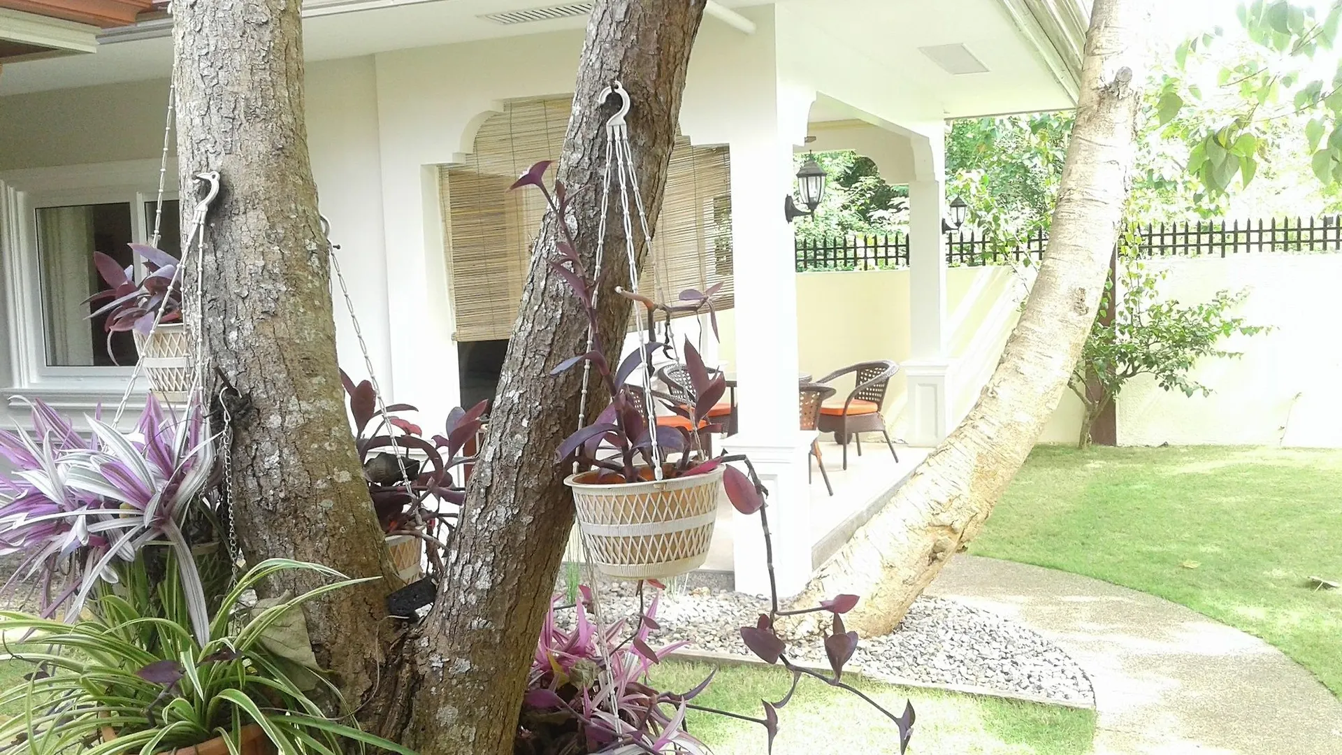 Alona Studio Bungalow location